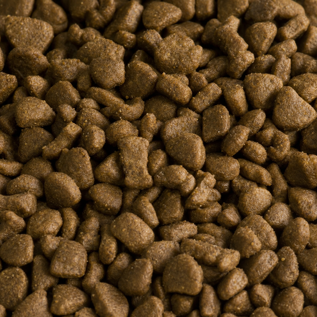 Custom Dry Dog Food Manufacturer – Private Label & OEM