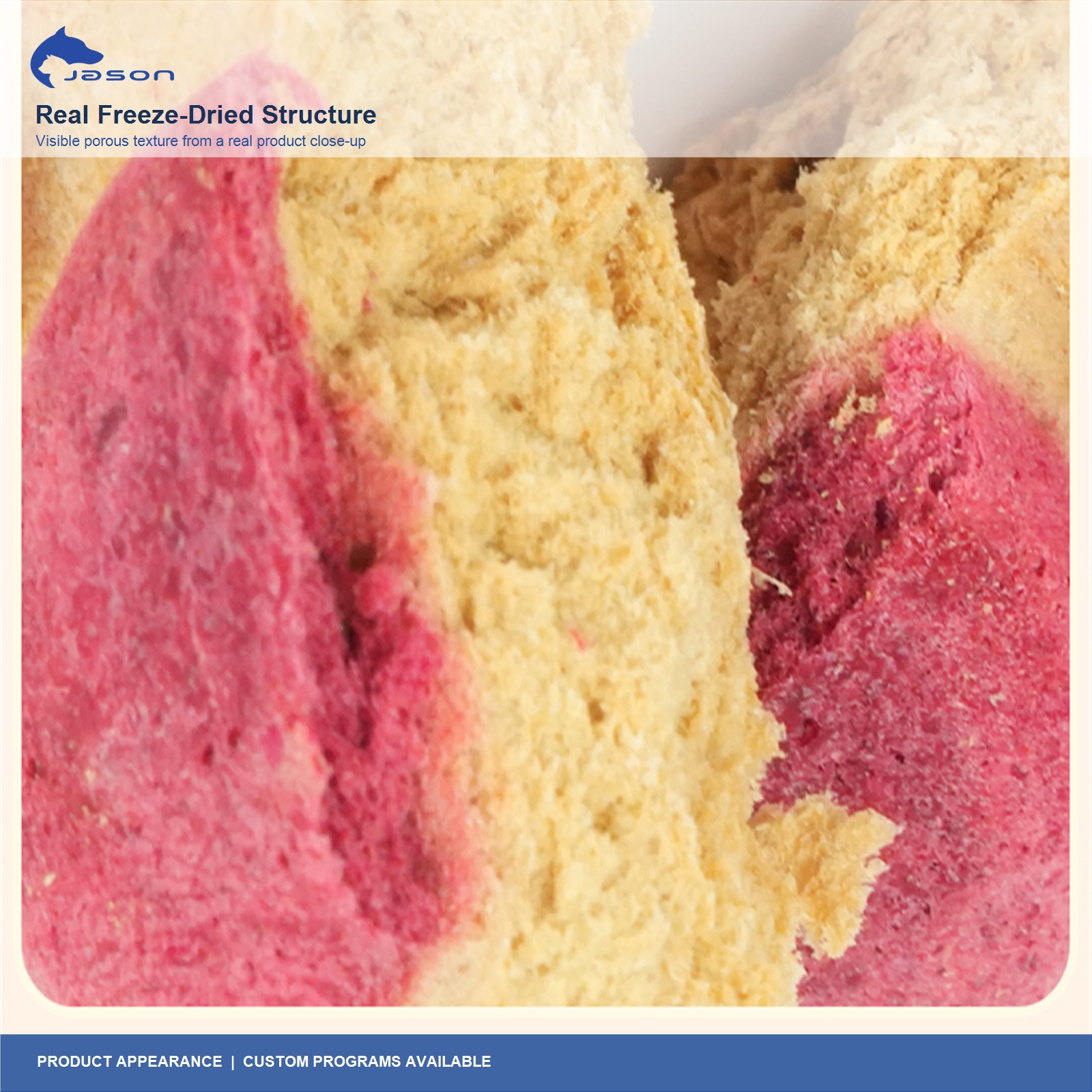 Freeze-Dried Paw-Shaped Cat Treats Manufacturer | Private Label & OEM
